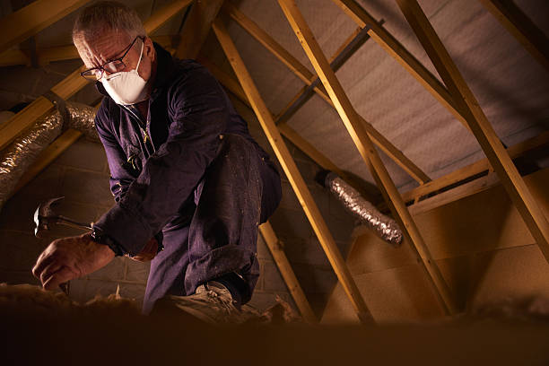 Best DIY Insulation Kits and Guidance in Gibbstown, NJ
