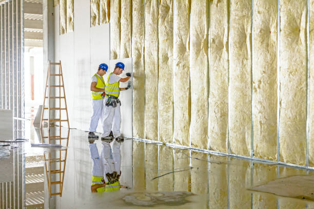 Best Eco-Friendly Insulation in Gibbstown, NJ